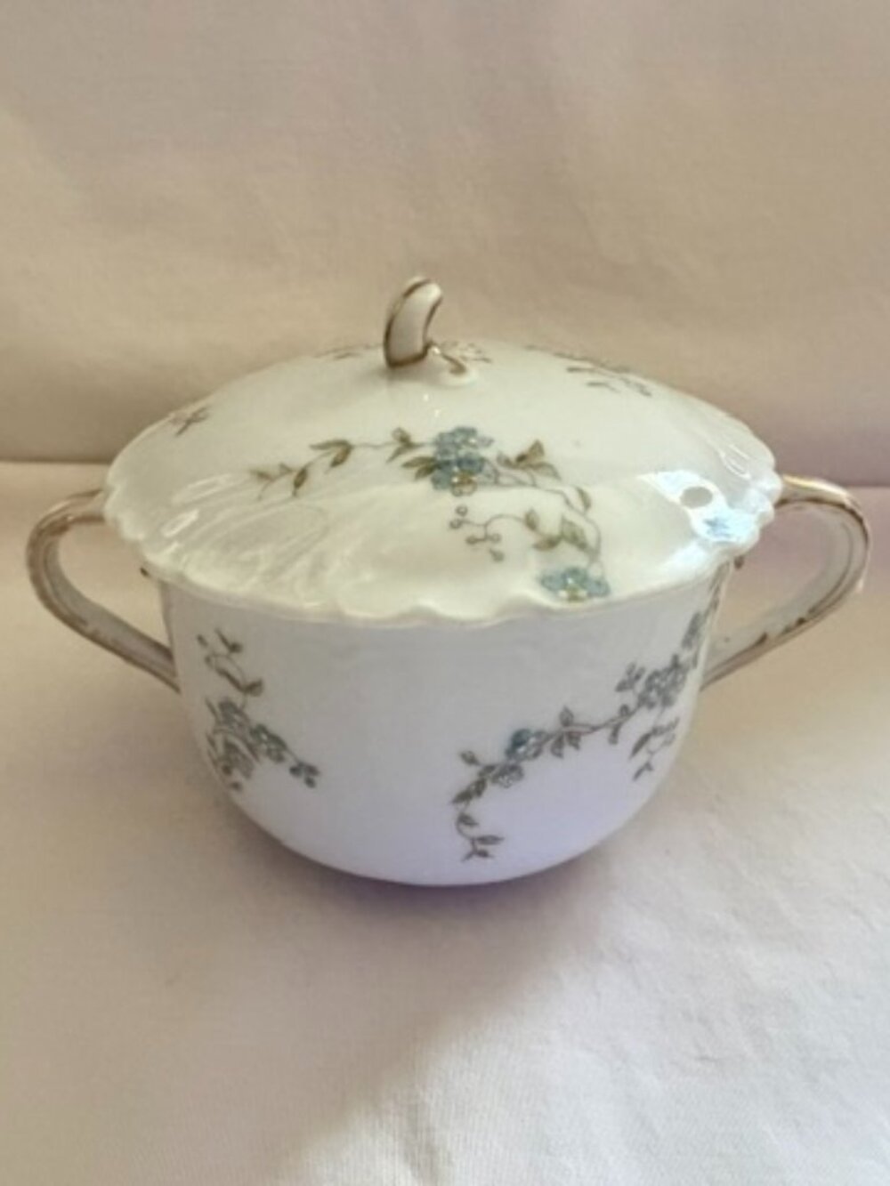Vintage Limoges Porcelain Lidded Sugar Bowl